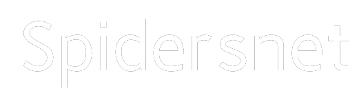 The Most Real SNAPI Site logo